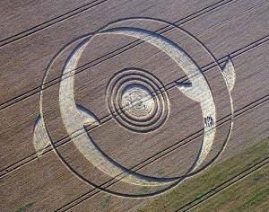 dolphincropcircleaug2002